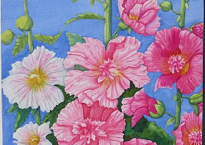 Anne Labelle-Johnson