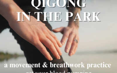 QiGong in the Park – healthy movement